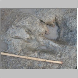 102_7539 (2013-08-19)m.JPG